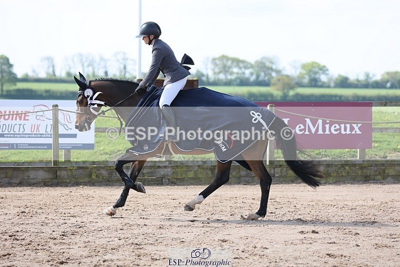 250427-102904-15352 - Cls 32 Young Horse 6yr old