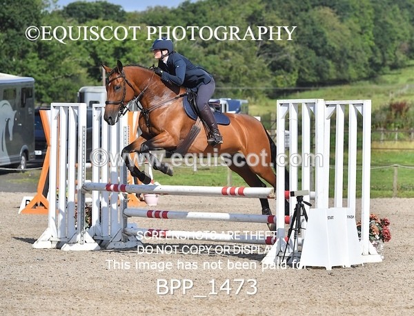 BPP_1473 - CLASS 3 SAT Senior British Novice/ 90cm Open