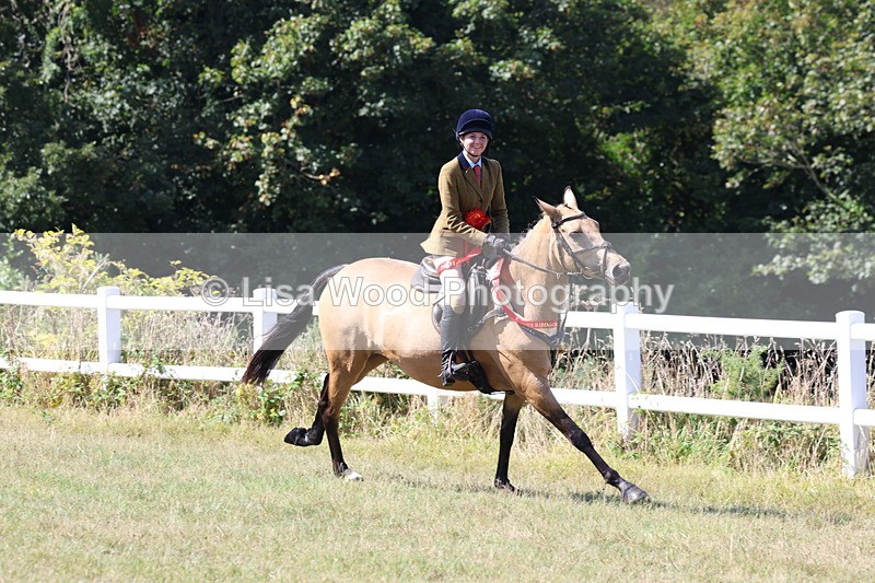 3E7A6486 - Working Hunter Championship