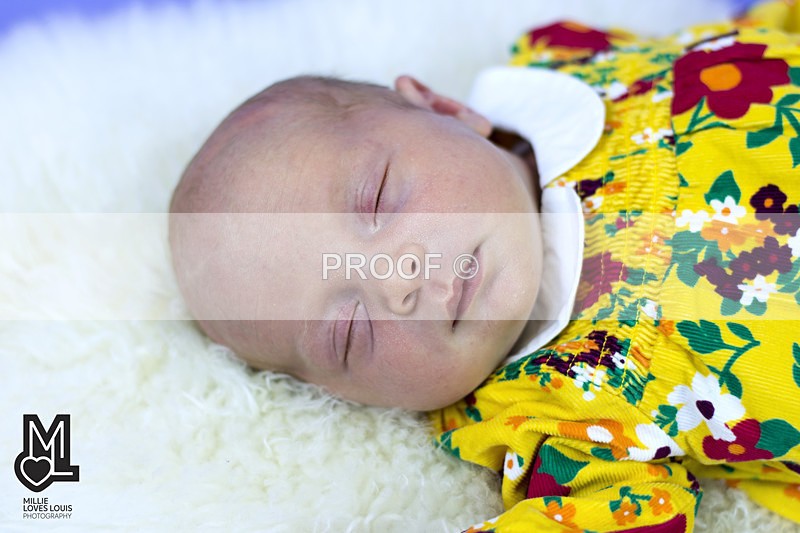 DSC_4401portfolio - Newborn Photoshoots