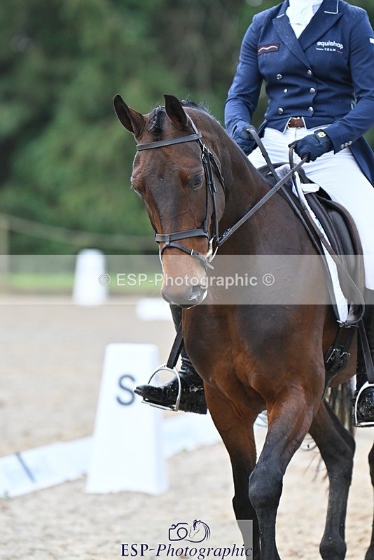 231019-151446-04732 - 133-FOXENHOLE-Laura.Elliott-DR