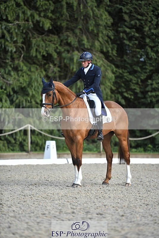 230525-175322-03627 - 131-FORTSIDE_COBRA-Freddie_Carden-WEDTrotUp+DR