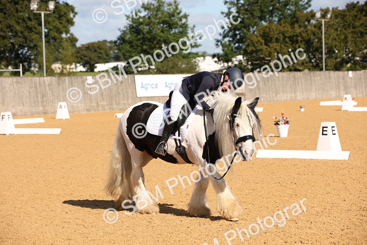 SBM_01950 - D2 Small Tour Championship Intro C