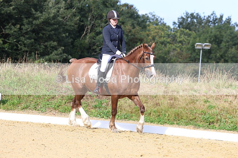 3E7A2233 - Class 1: Intro 4 2024 section A