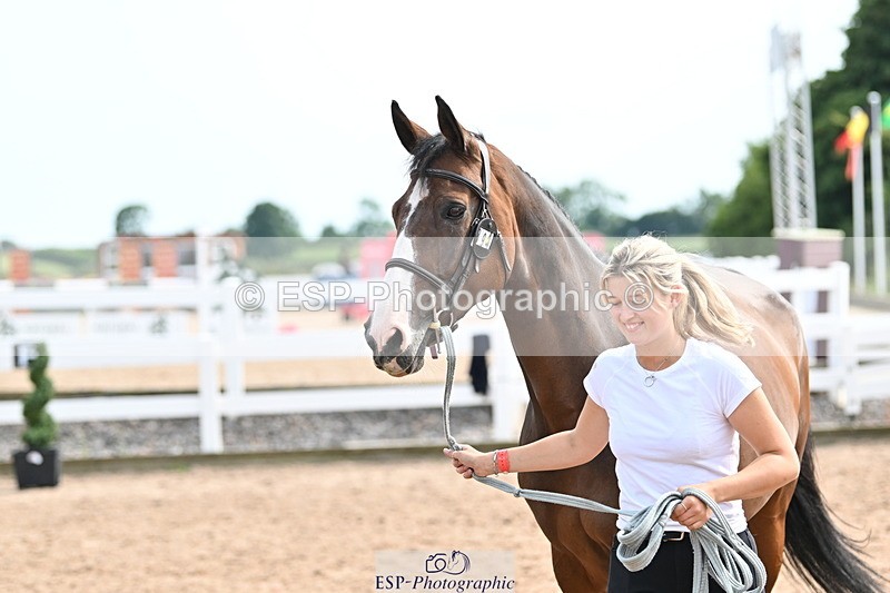 240717A-162022-03420 - Trot Up 4pm to 5pm