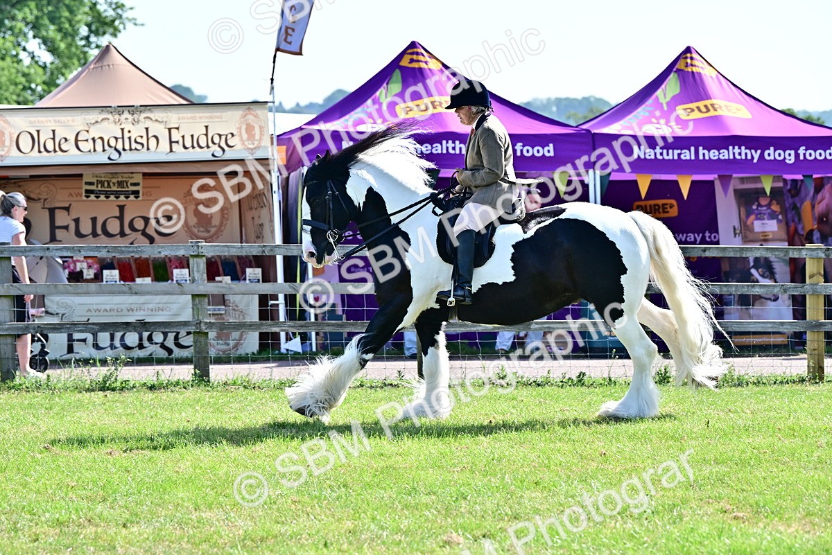 SBM_12149 - Class 93-94 - BSPA RIHS Ridden