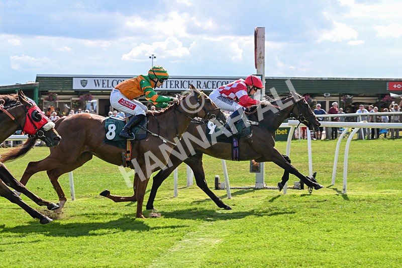160725-Race 4-Lady Bouquet-9161 - Race 4