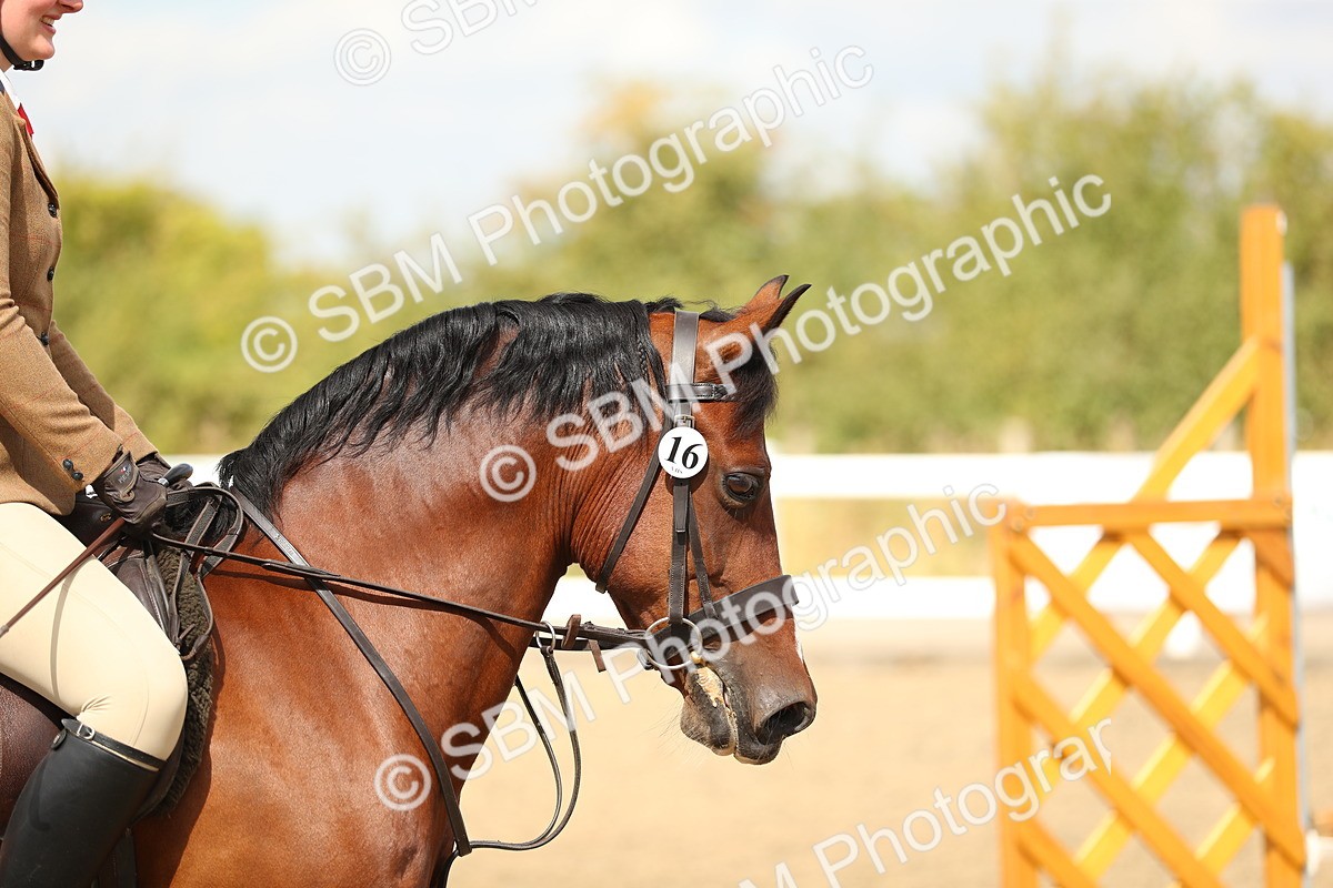 SBM_04839 - Class 47a Style & Performance 60cm (15-19)