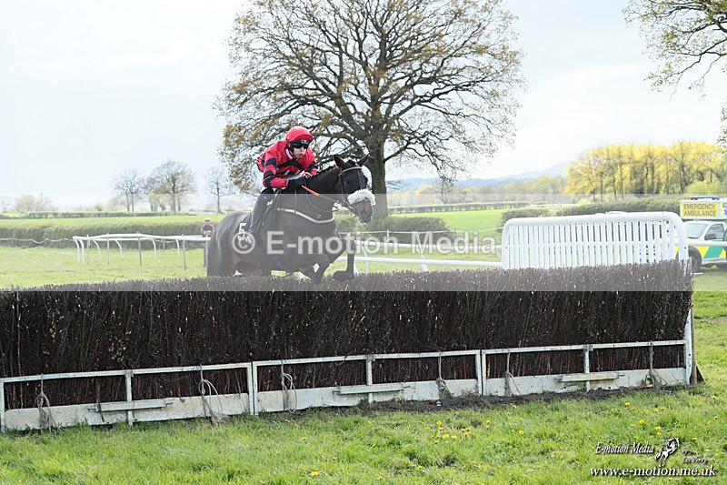 PtP 180426 1158 - Worcestershire Hunt PtP Chaddesley Corbett 18/04/26