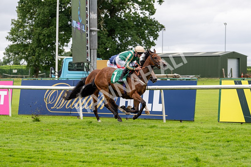 030724-Race 2-The Crafty Mole-0530 - Race 2