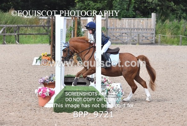 BPP_9721 - CLASS 2 Derby Show Jumping 30CM