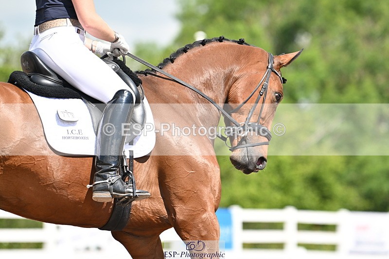 240621A-110442-01512 - Cls 4 BD Novice 22