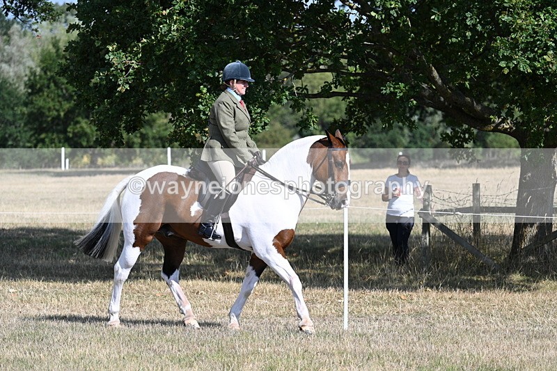 WJ7_2788 - Class 8 Ridden Tack & Turnout