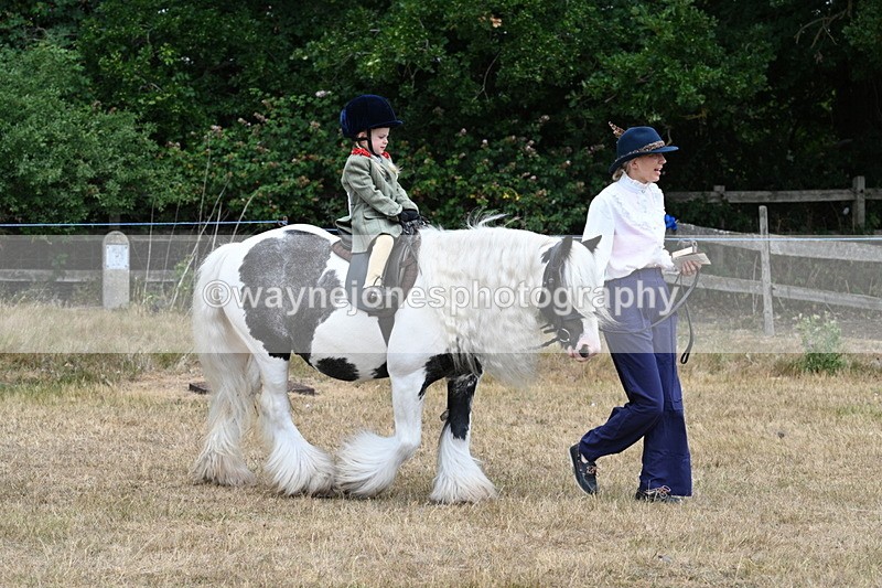 WJ7_6930 - Class 1 Lead Rein Pony