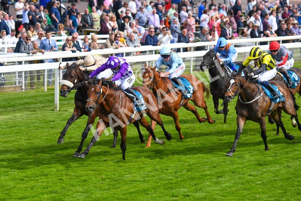 170523-Race 5-Dark Thirty-0694 - Race 5 4.10pm Conundrum HR Consulting Handicap