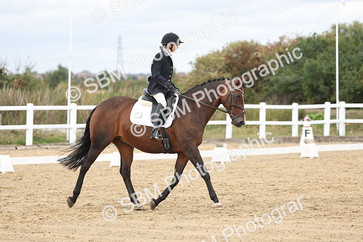 SBM_002672 - Class 7 - Novice 2 Warm Up