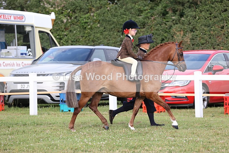 JPP_0277 - Class 14: Cornish Combination Leading Rein