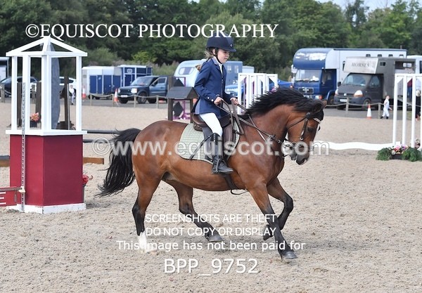 BPP_9752 - CLASS 2 Derby Show Jumping 30CM