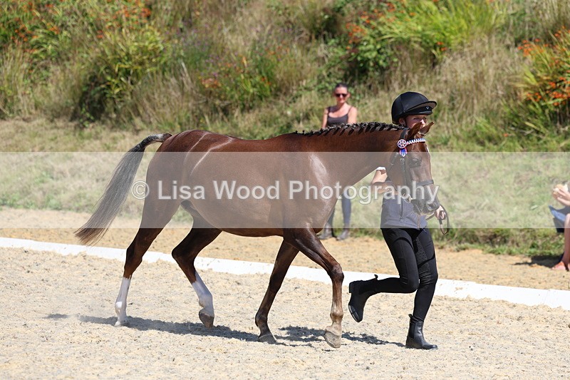 3E7A9700 - Class 32: Best Grass Kept