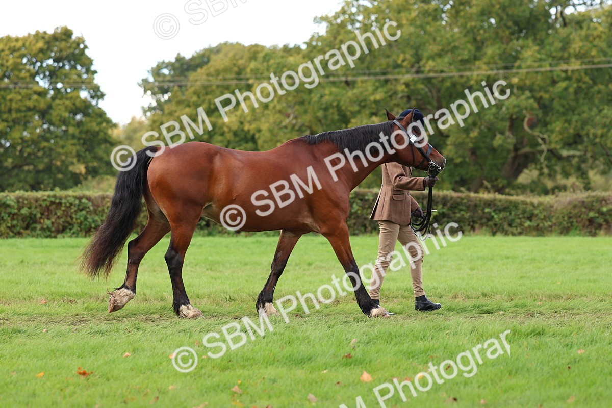SBM_40706 - S25 -  Veteran In Hand