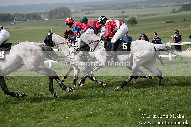 PtP 210418 263 - South & West Wilts Point-to-Point Larkhill 21/04/18