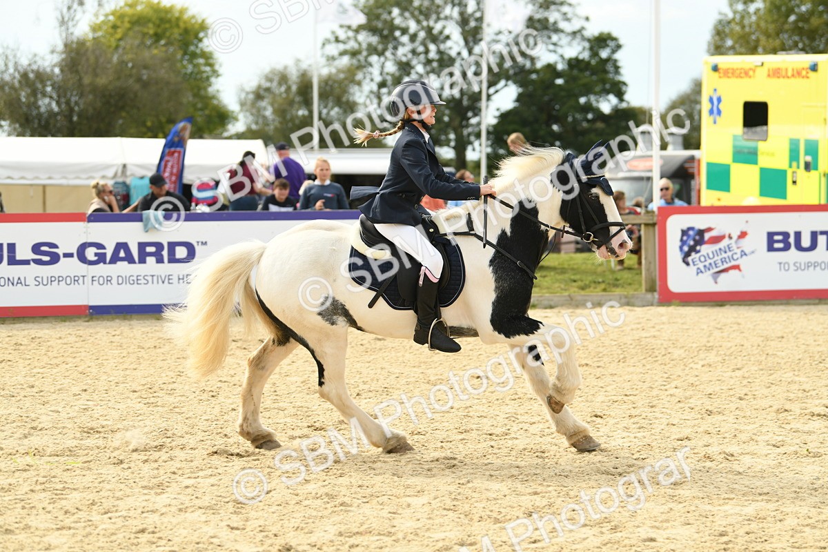SBM_71066 - J15 - Junior Pony 70cm Championship