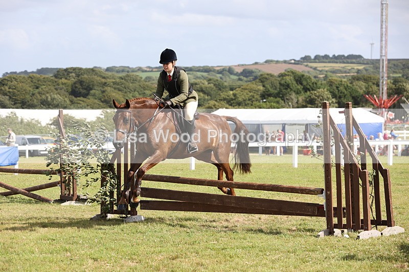 JPP_2555 - Class 20: Working Hunter 70cm