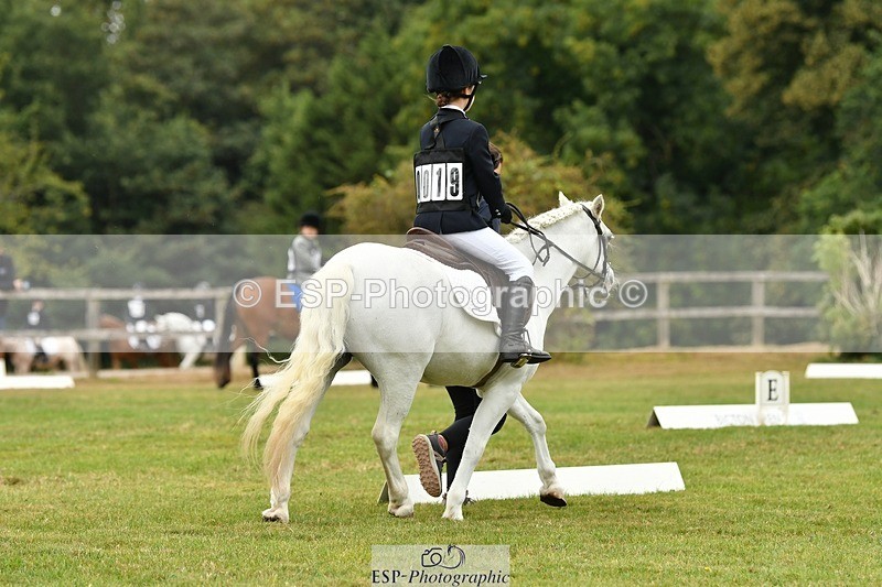 250820A-105328-04805 - Start to 11am