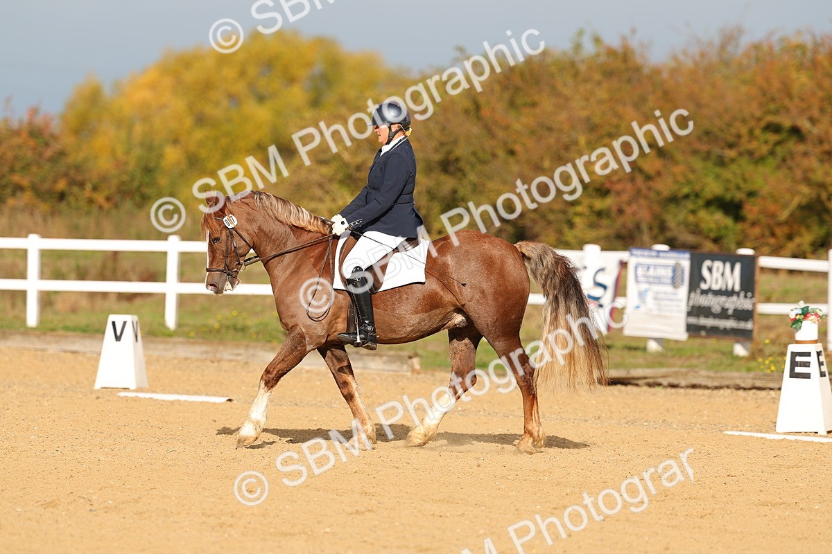 SBM_009284 - Class 1 - P4