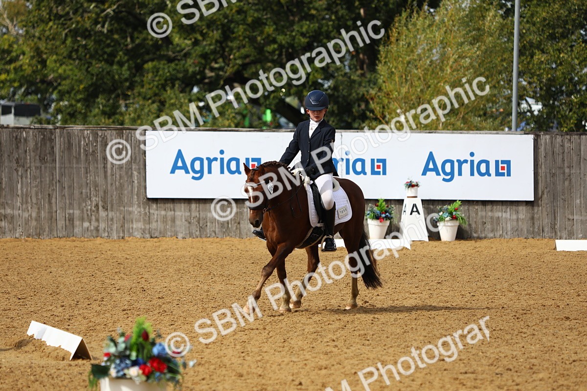 SBM_42667 - D21 - Junior Championship Intro 1