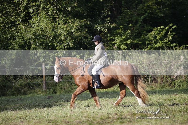 BVRC 120921 44 - Bourne Valley Riding Club UA Dressage & Show Jumping 12/09/21