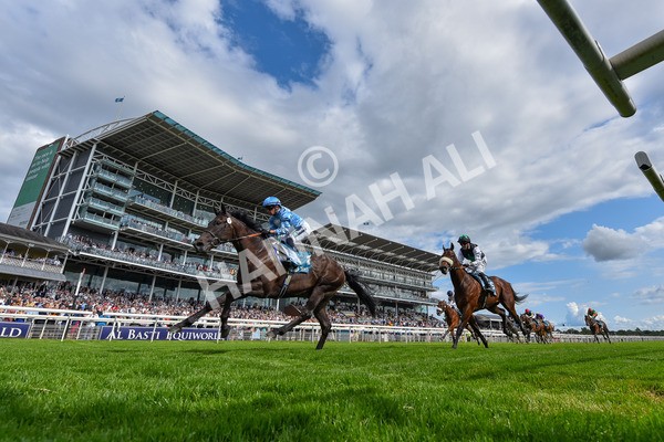 140625-Race 5-Egoli-4664 - Race 5 4.10pm Reg Griffin Appreciation EBFstallions.com Maiden Stakes