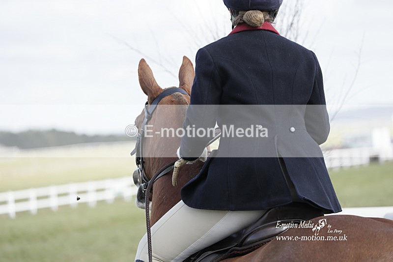 PtP 260223 256 - South & West Wilts Point-to-Point Larkhill 26/02/23