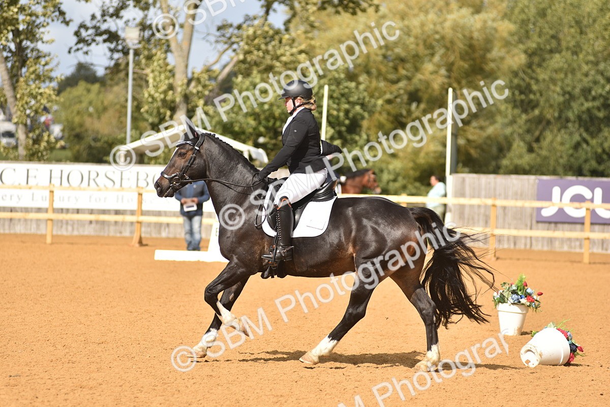 SBM_10056 - D15 - Small Tour Championship Novice 1