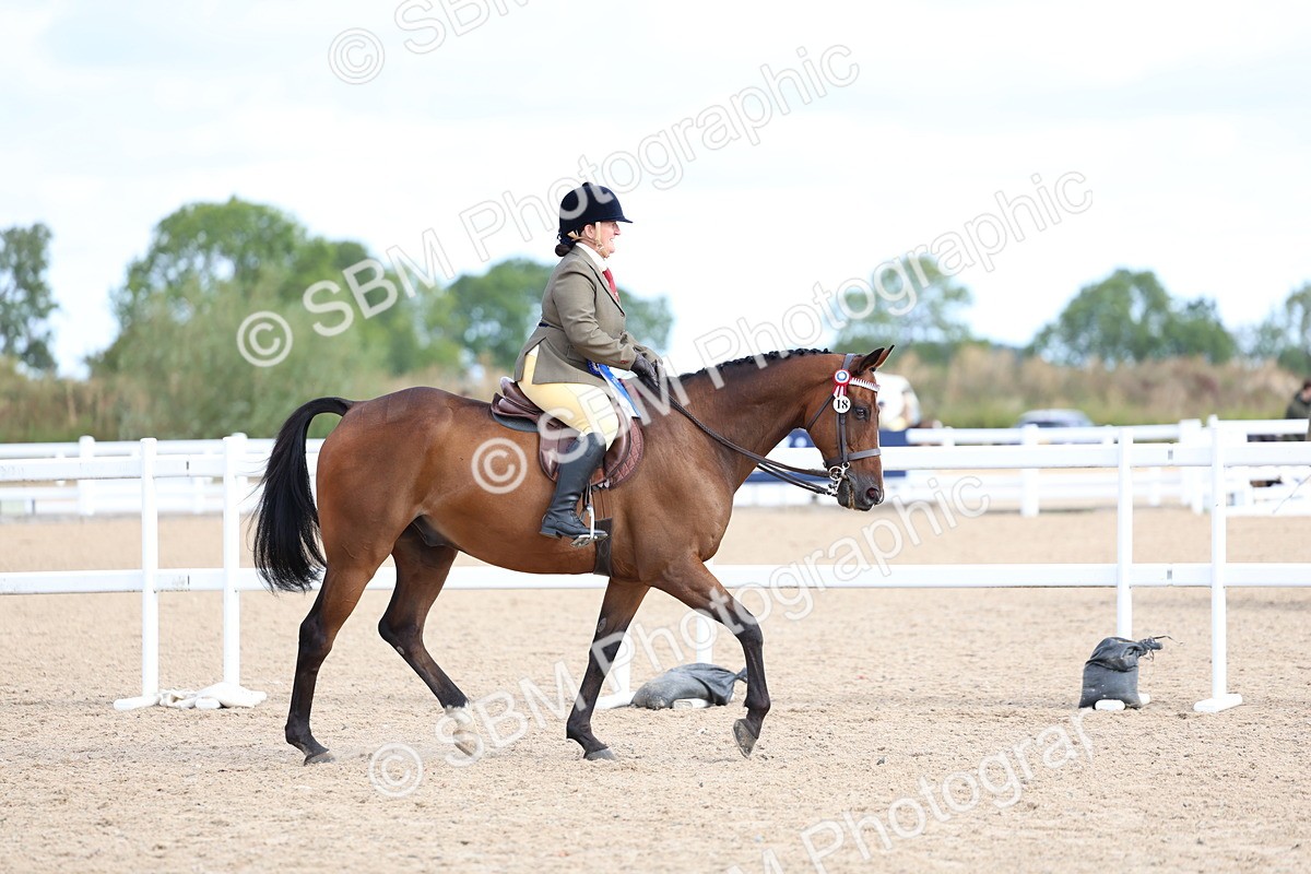 SBM_09184 - Class 303 - Ridden Pure Bred Horse Pony