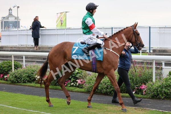 yr22072022r6-5 - Race 6 7.50pm Gallop Racing Stakes