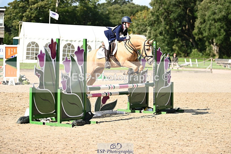 240824X-160204-29854 - 80cm Round 2 15.30 to 16.50