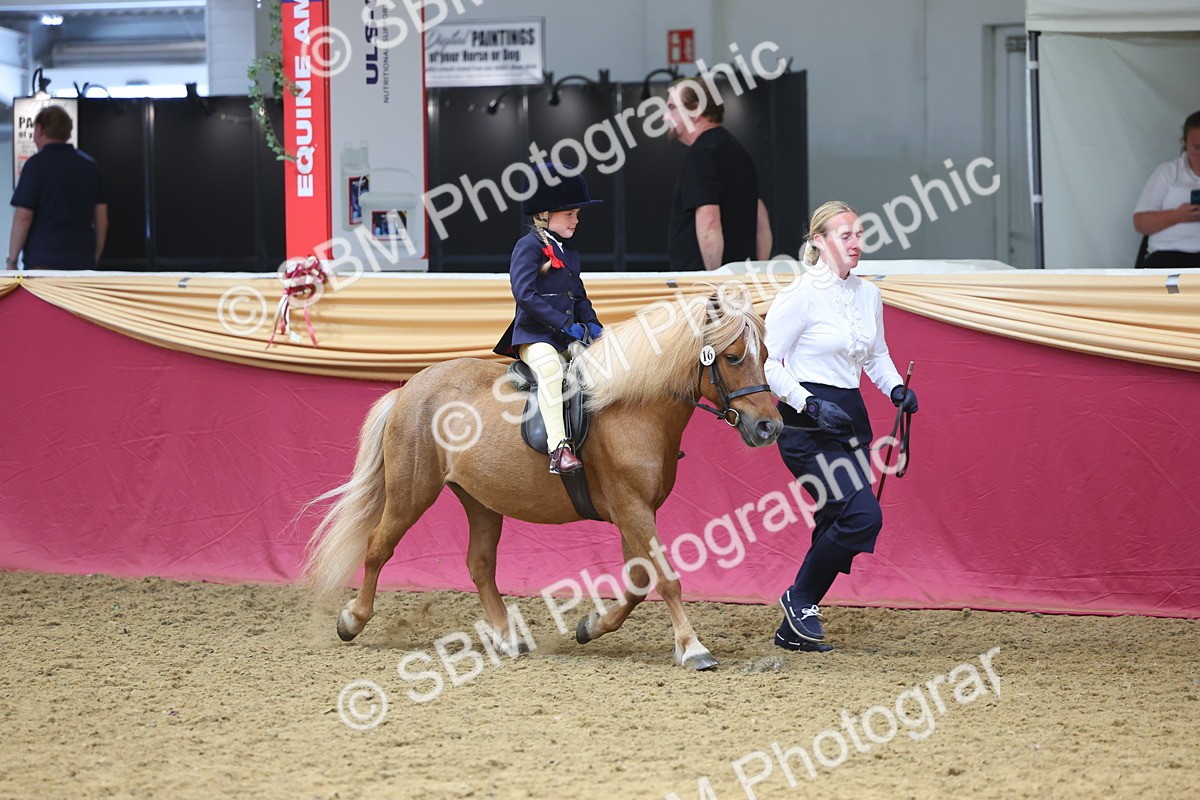SBM_24389 - Class 906 - Supreme Final - Ridden Pre Vet