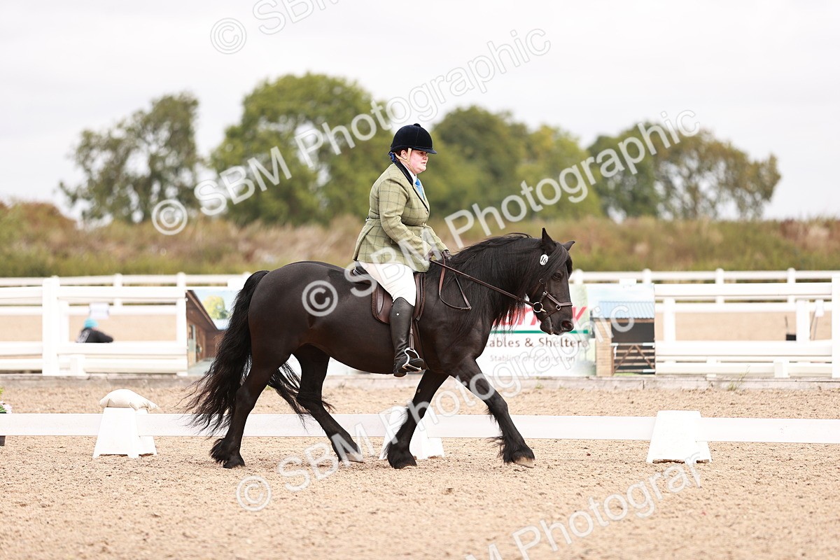 SBM_02460 - Class 35 - Intro 3