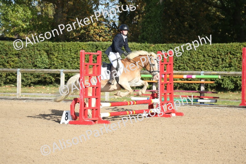 20250831-0113 - Class 2 - 50cm