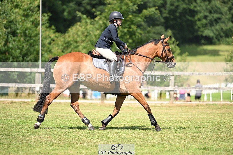 250704A-110029-07132 - Cls 25 Snr British Novice and 90cm