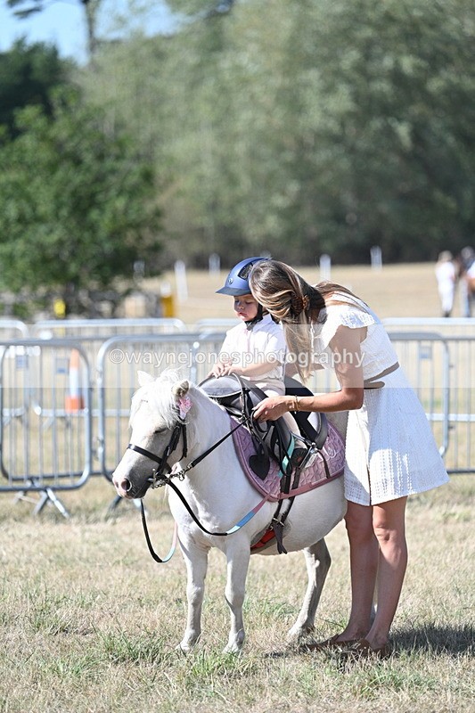WJ7_1298 - Class 41 Prettiest Mare