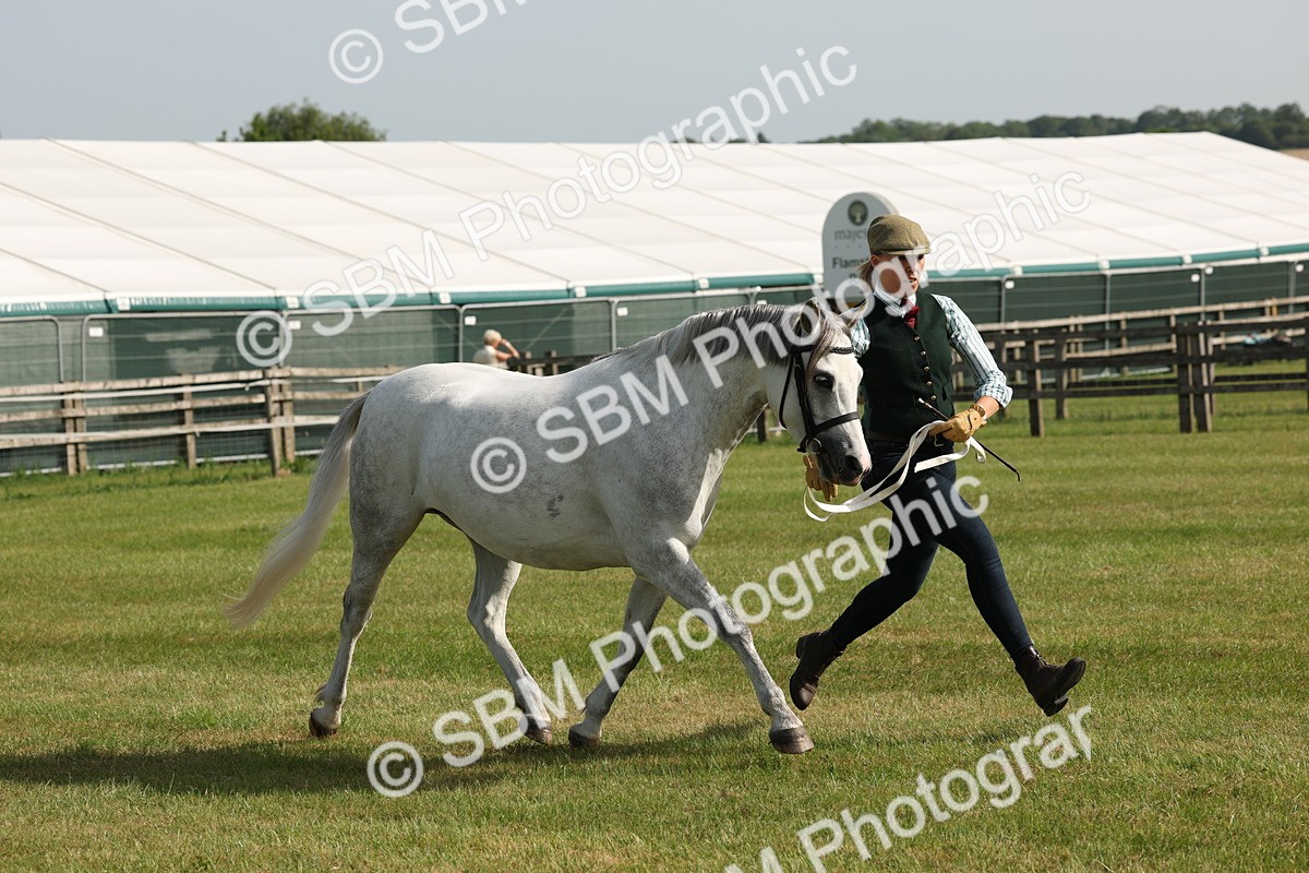 SBM_00750 - Class 6-13 - Mountatin and Moorland In Hand Welsh Breeds