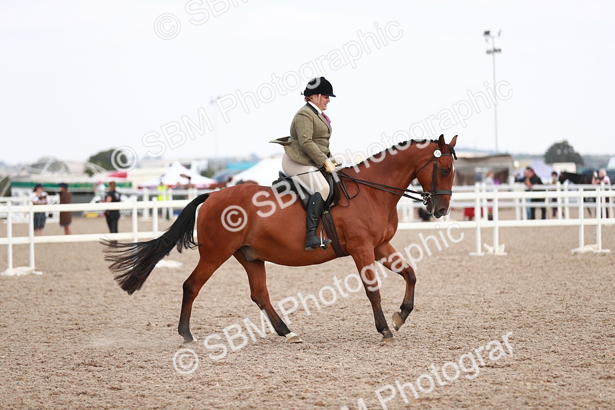 SBM_15531 - Class 213 Ridden Hunter -Large