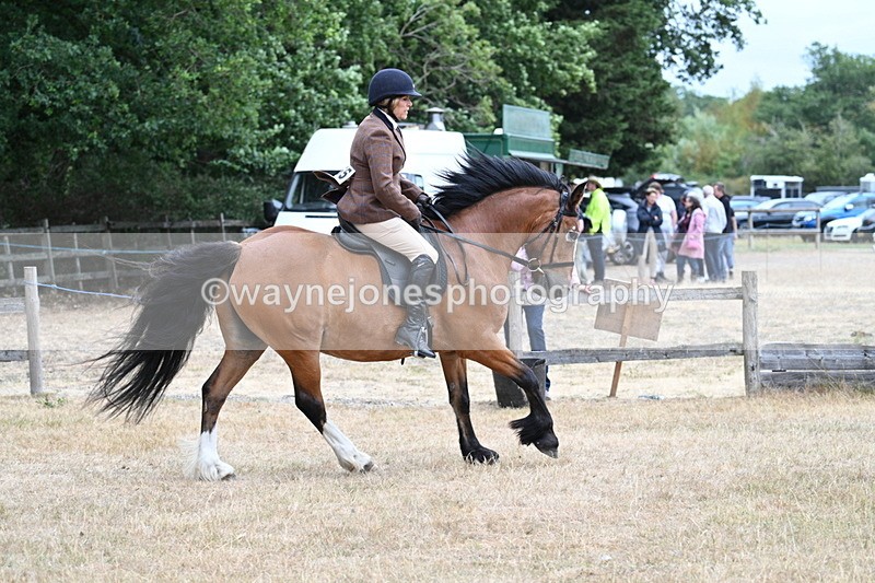 WJ7_0542 - Class 6 Ridden Mountain and Moorland