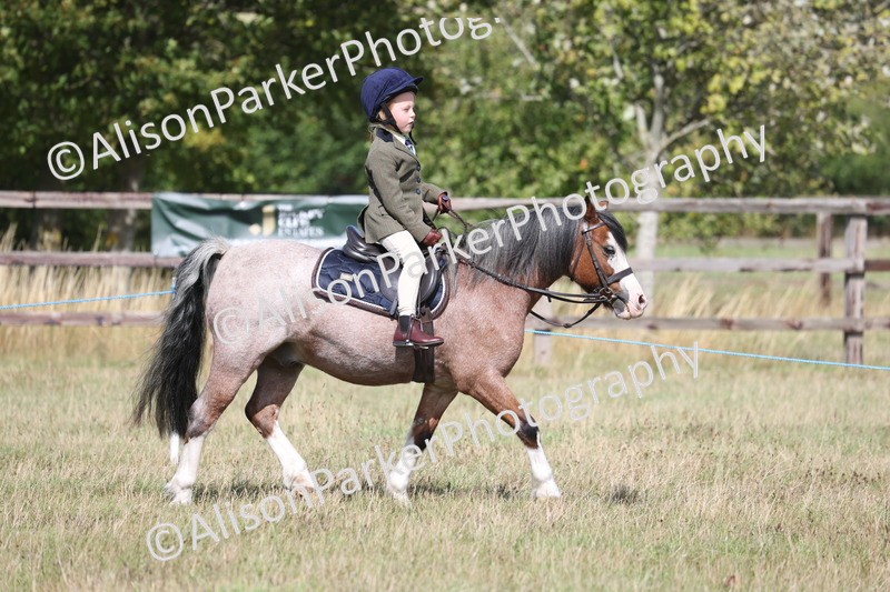 20260906-3052 - Class 18 - Childs First Pony