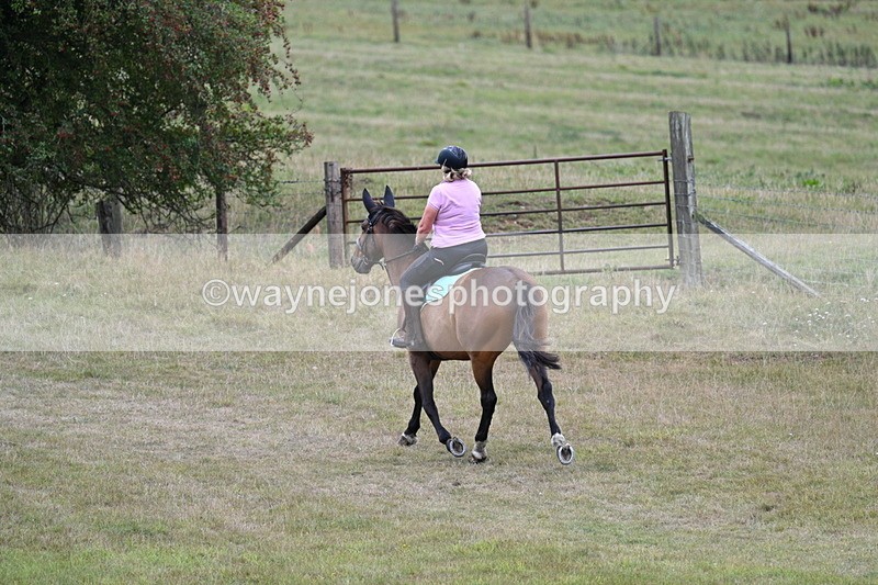 WJ7_6161 - Time 11:50 to 12:09