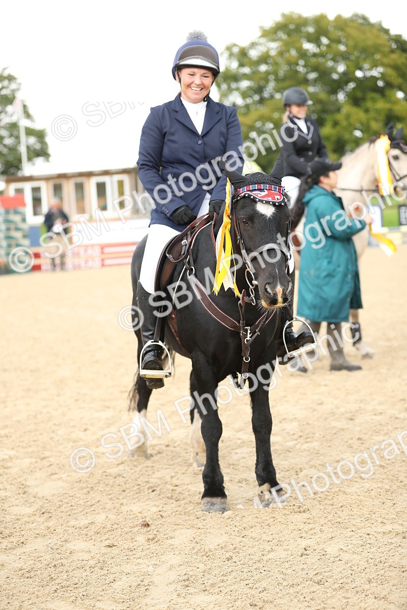 SBM_01060 - J27 - Senior Horse & Pony 50cm Championships