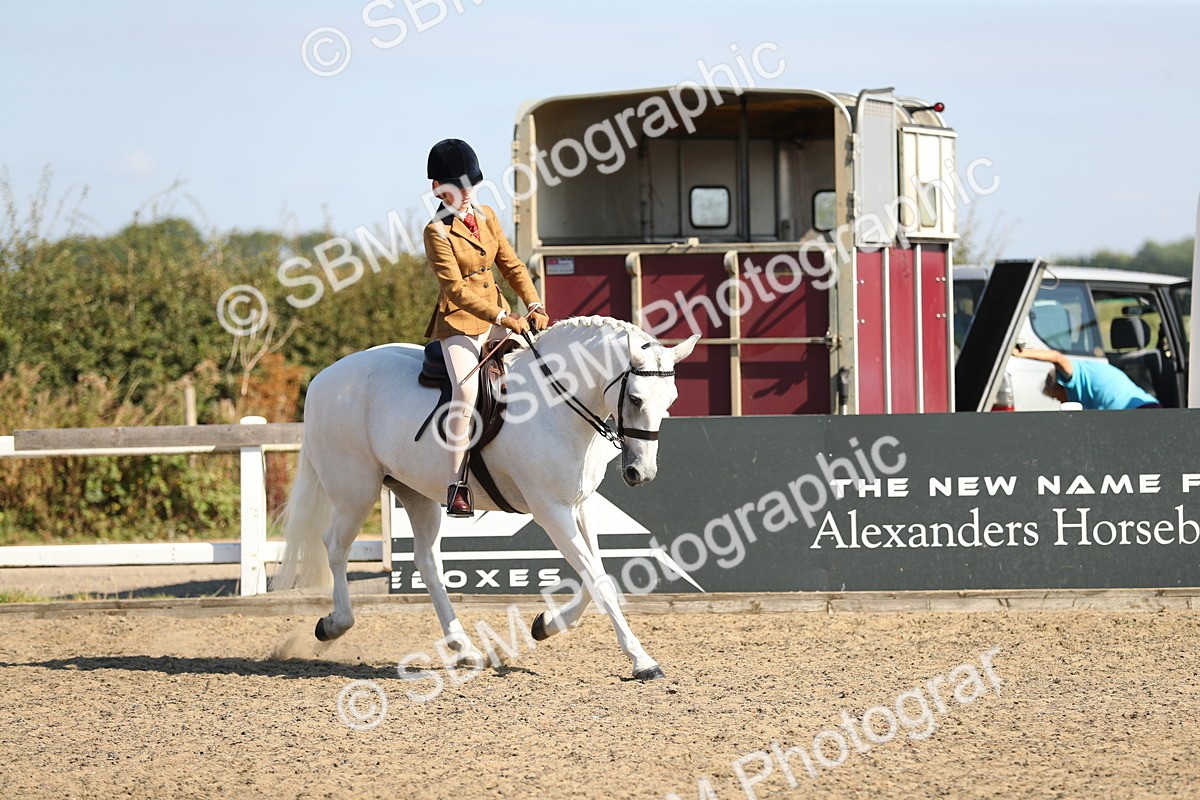 SBM_02310 - Class 43 Ridden Competition Horse/Pony