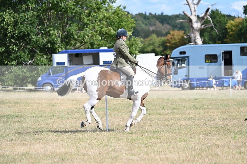 WJ7_7456 - Class 14 Ridden Coloured